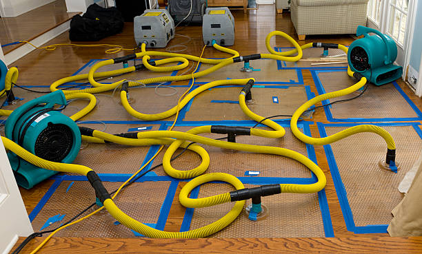 Professional Water Damage Repair technician working in Fords, NJ